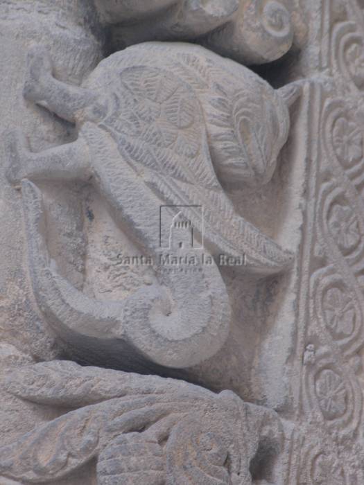 Detalle de las arquivoltas de la portada sur. Grifo