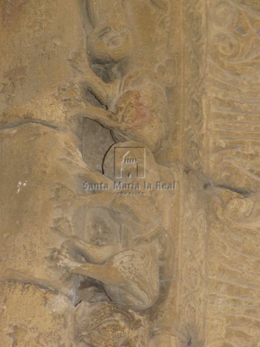 Detalle de las arquivoltas de la portada sur