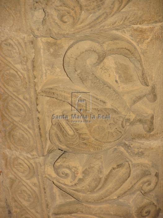 Detalle de las arquivoltas de la portada sur. Grifo