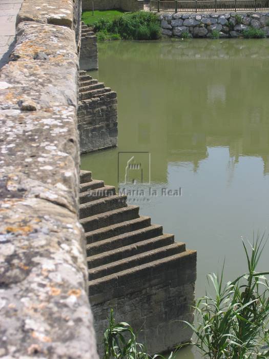 Detalle de los contrafuertes del puente románico