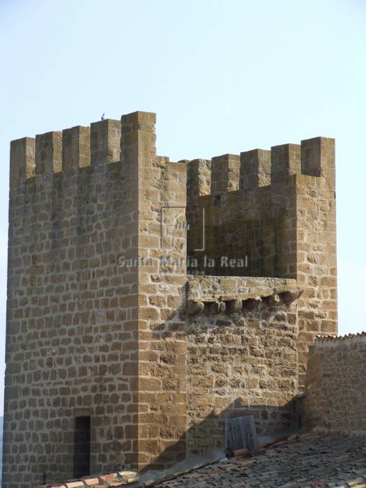 Detalle de una de las torres