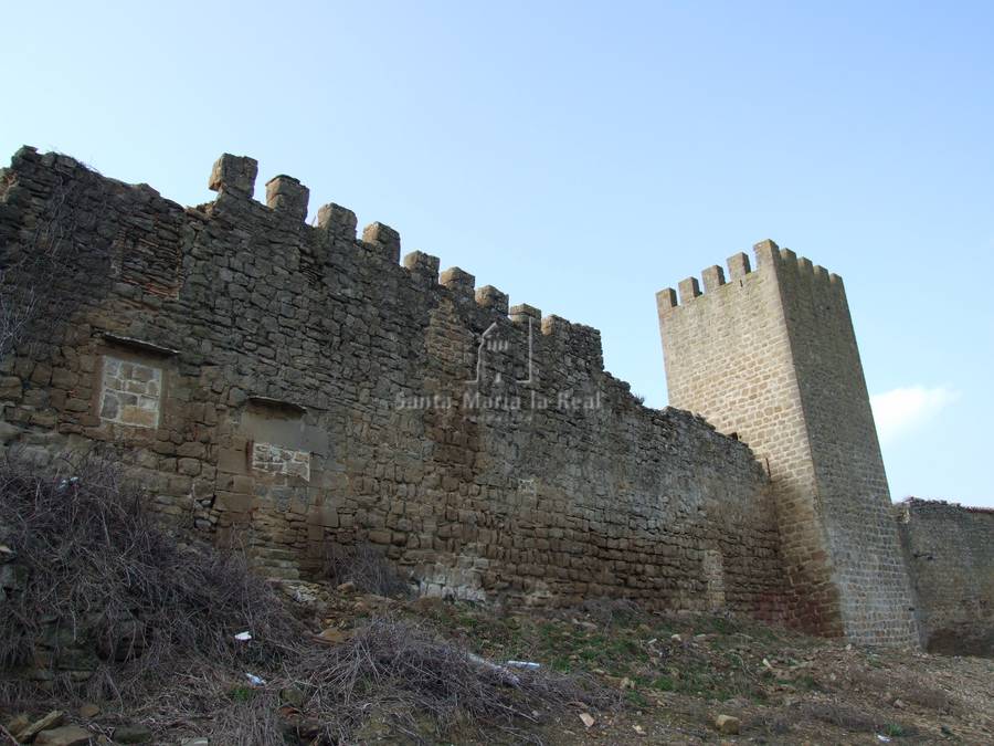 Detalle de trozo de muralla y torre exterior