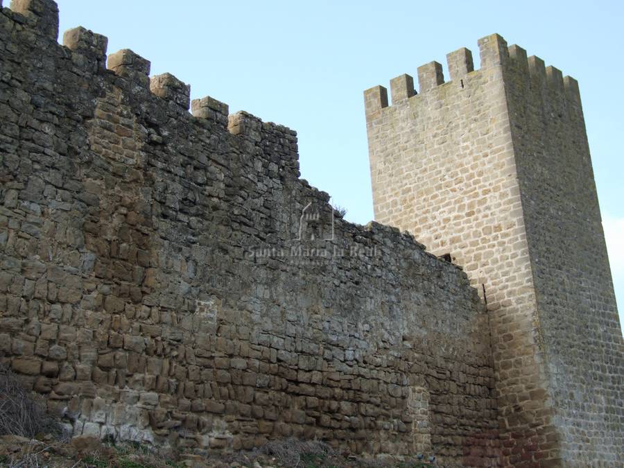 Detalle de trozo de muralla y torre exterior