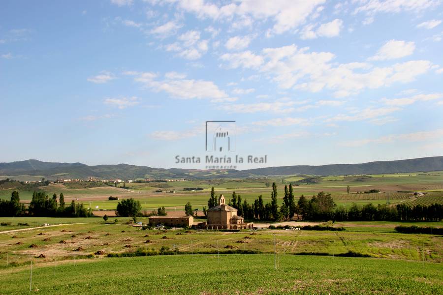 Panorámica desde el nordeste