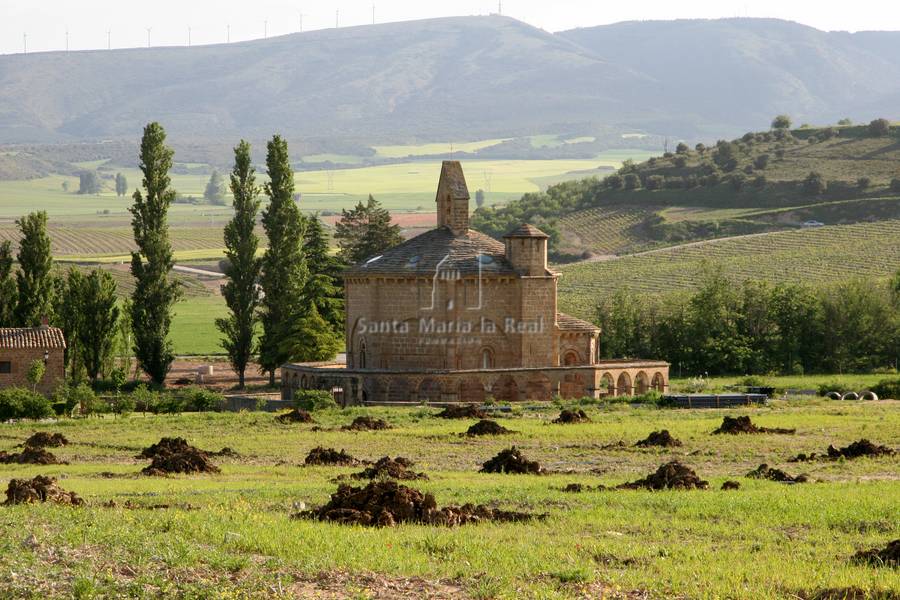 Panorámica desde el este