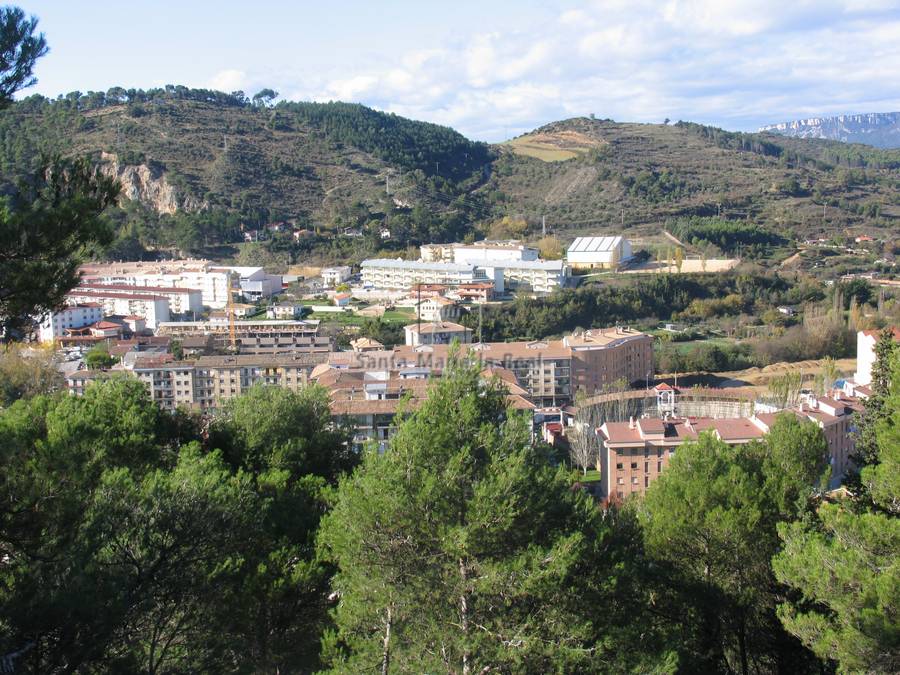 Vista general del pueblo desde la Basílica del Puy