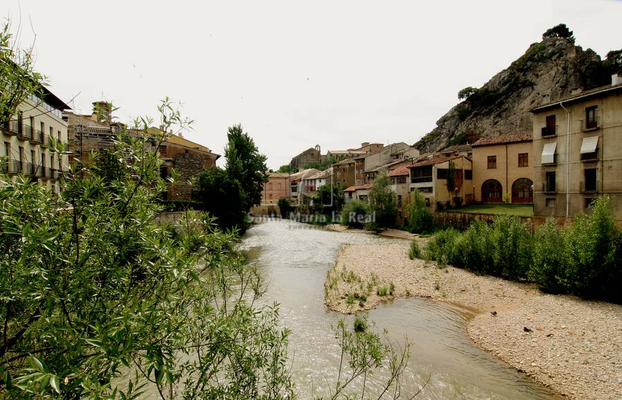 Vista general de río Ega