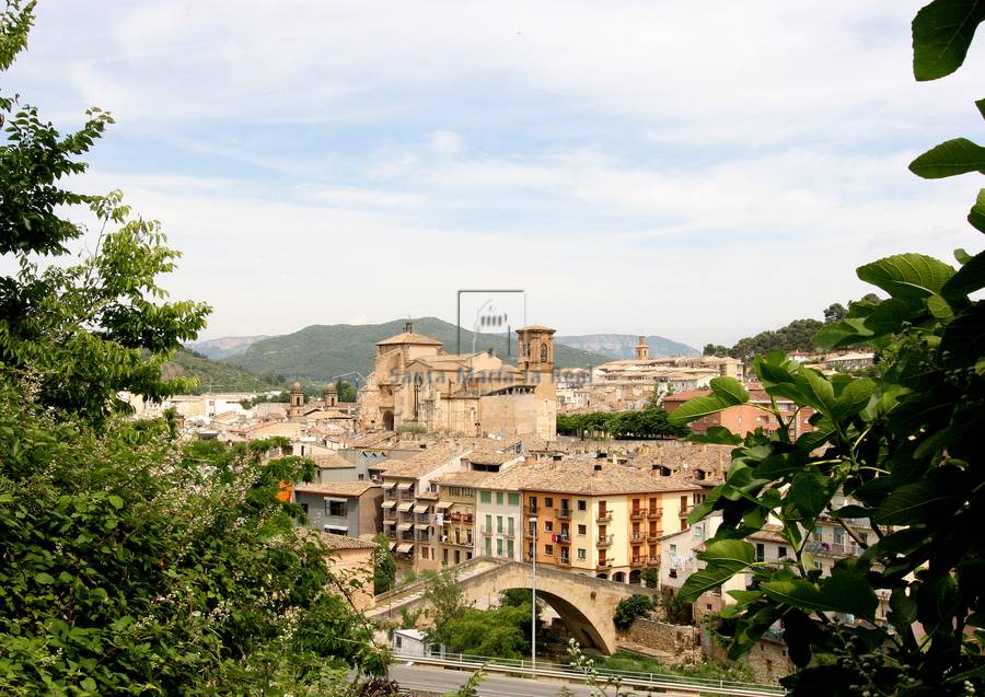 Panorámico desde la Basílica del Puy