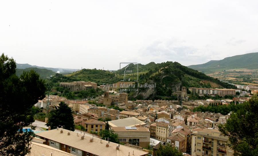 Panorámico desde la Basílica del Puy