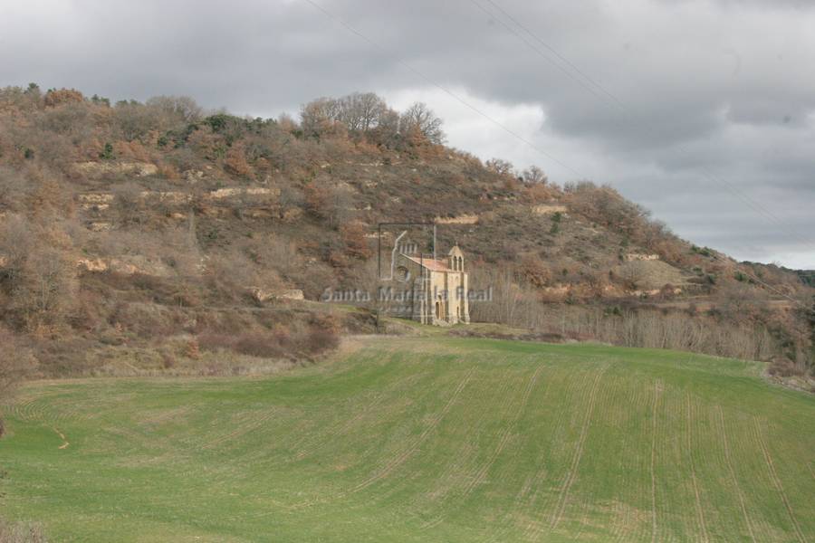 Panorámica del emplazamiento