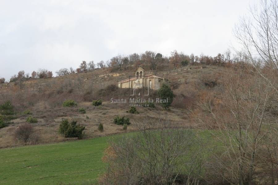 Panorámica del emplazamiento