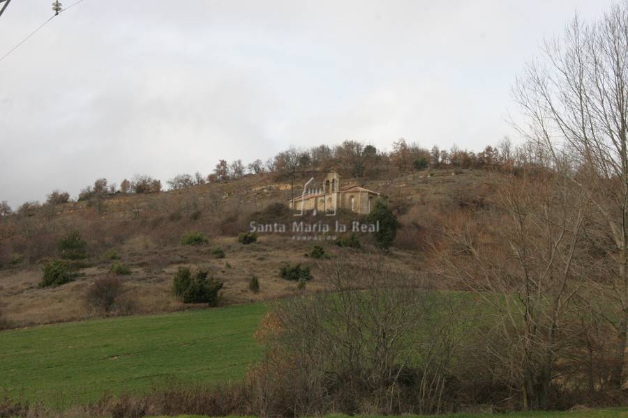 Panorámica del emplazamiento