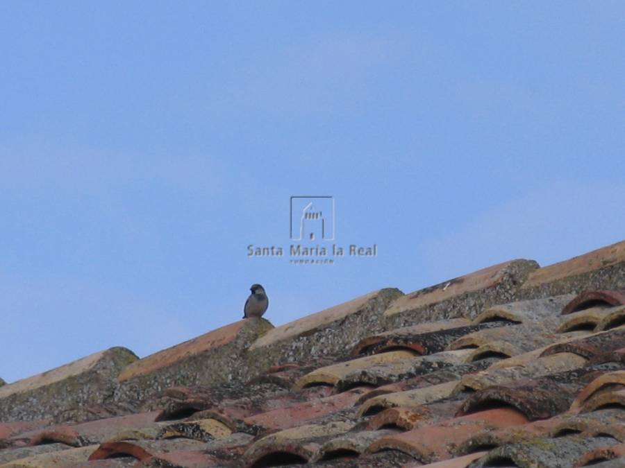 Detalle del tejado de la ermita