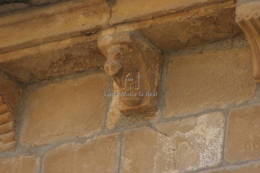 Canecillo del muro norte. León de cabeza vuelta