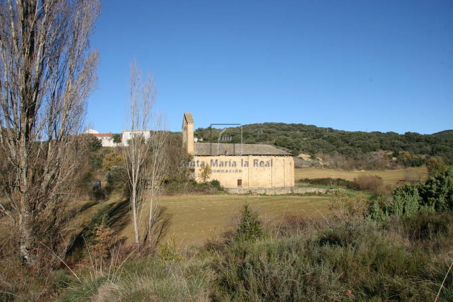 Vista general desde el sur