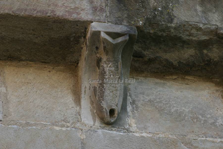 Canecillo del muro norte de la nave. Pez boca abajo