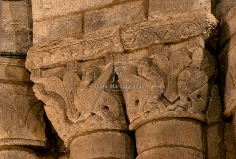 Capitel del cuerpo de naves. Arpías afrontadas