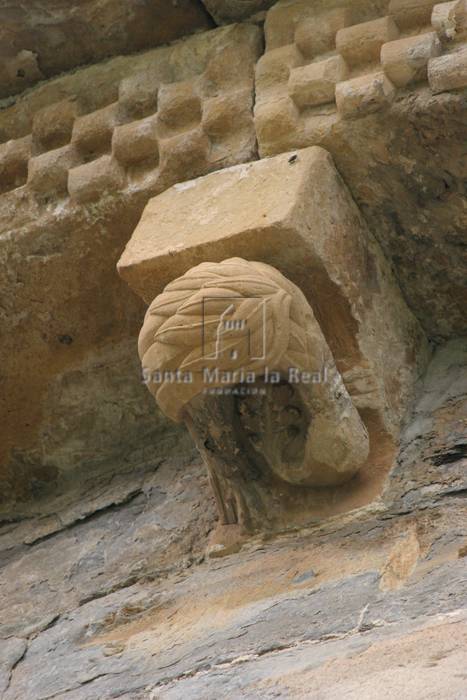 Canecillo del ábside. Pájaro patilargo de fuertes garras