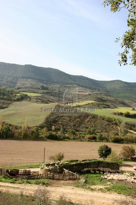 Vista general desde el norte