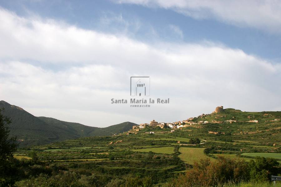 Vista general desde el noroeste