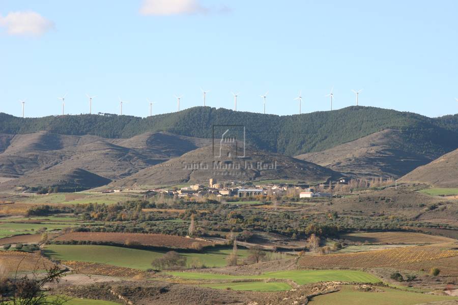 Panorámica