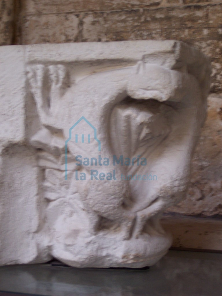 Capitel entrego. Animales
