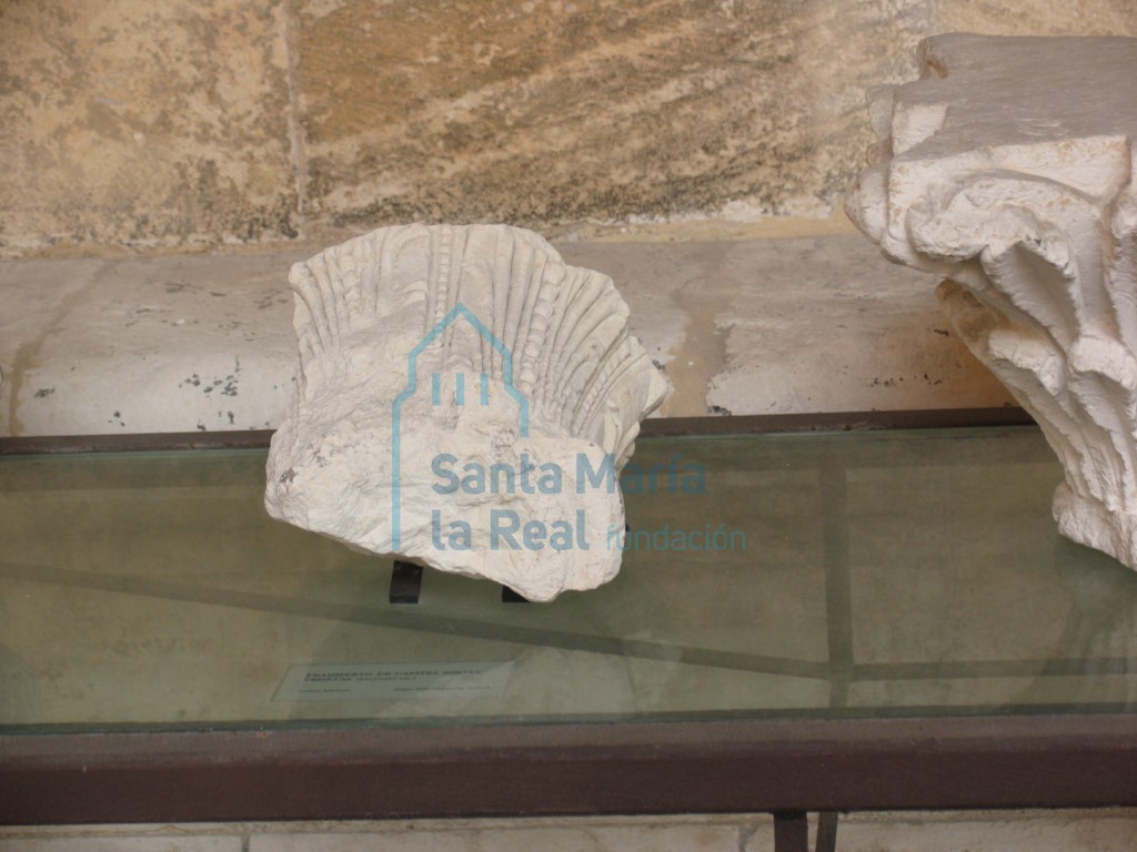 Fragmento de un capitel vegetal