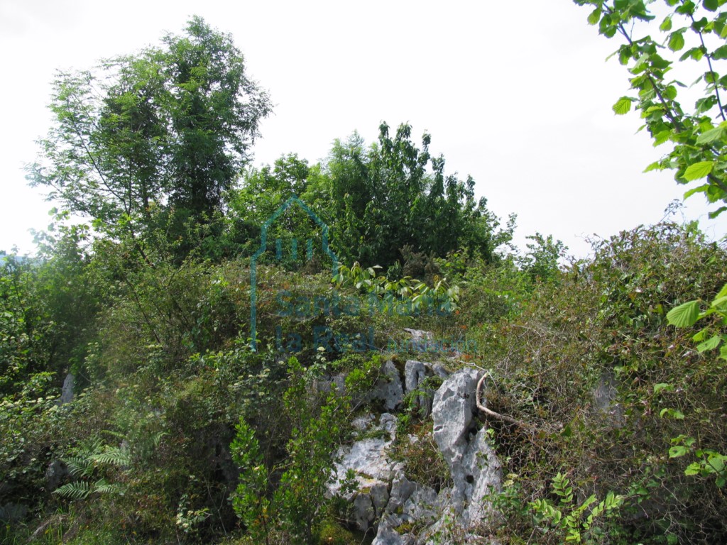 Restos del castillo
