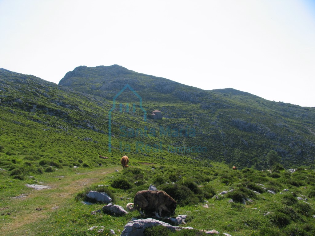 Vista panorámica