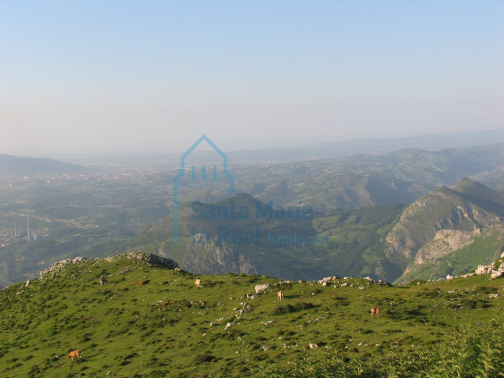 Vista panorámica