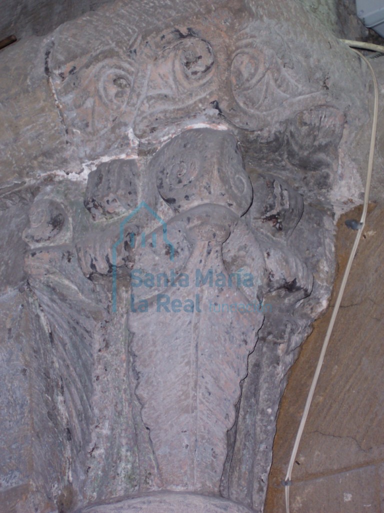 Arco triunfal. Detalle del capitel vegetal de la jamba izquierda