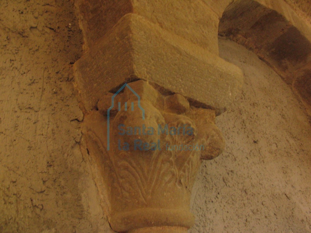 Capitel de la arquería del lado izquierdo del interior de la cabecera. Motivos vegetales