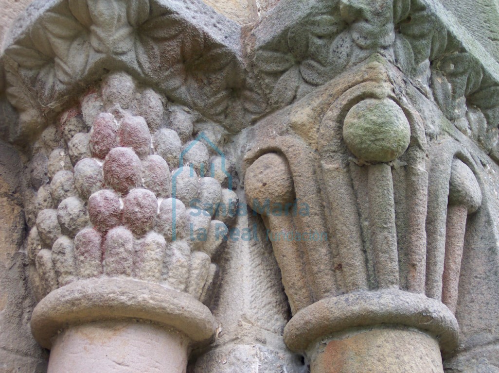 Detalle de los capiteles del lado derecho de la portada occidental. Apomados y tallos vegetales
