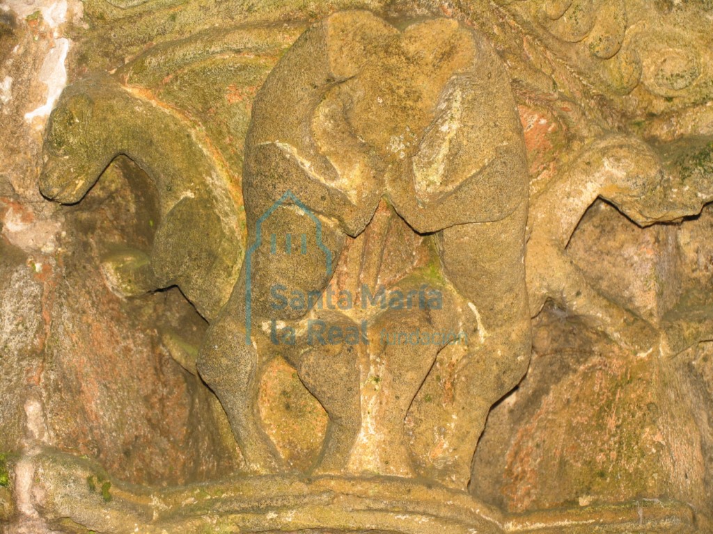 Capiteles animalísticos del lado derecho de la portada occidental