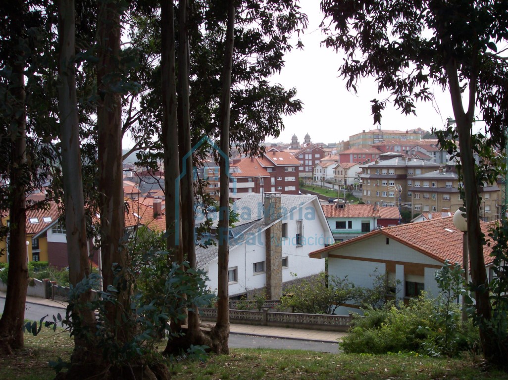 Panorámica