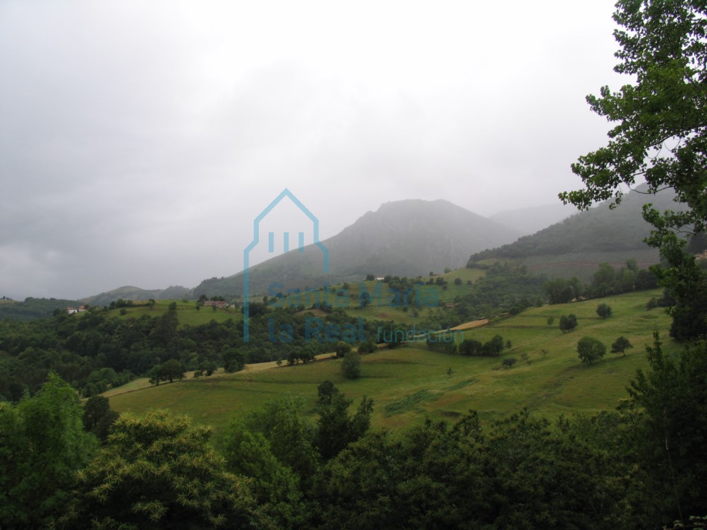 Panorámica