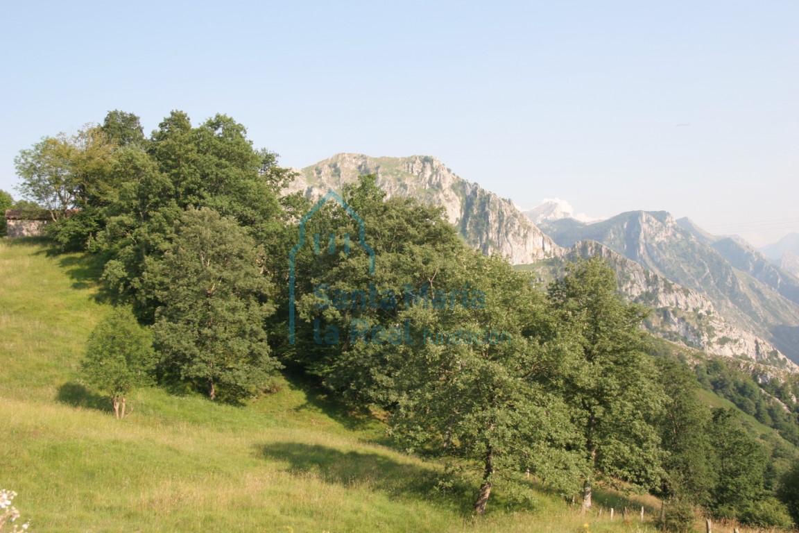 Paisaje