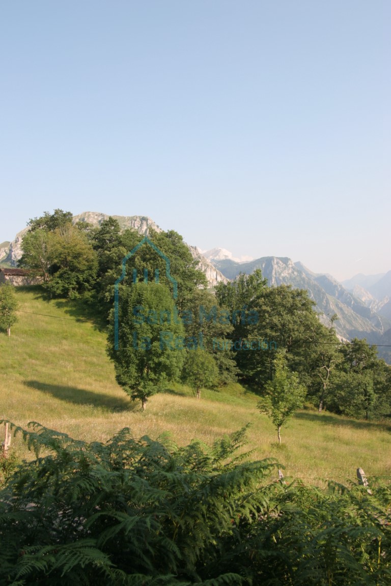 Paisaje
