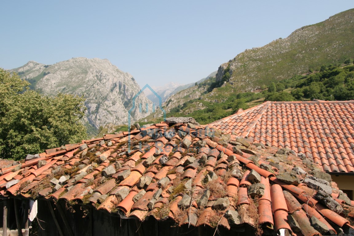 Paisaje
