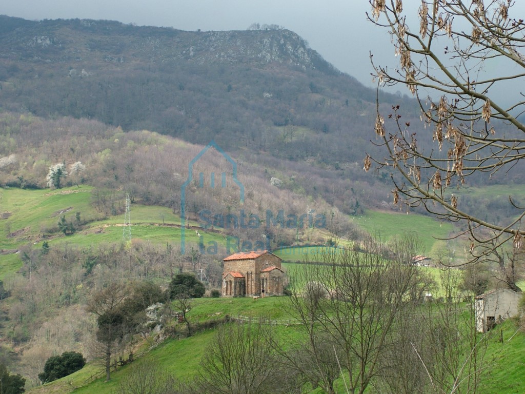 Panorámica
