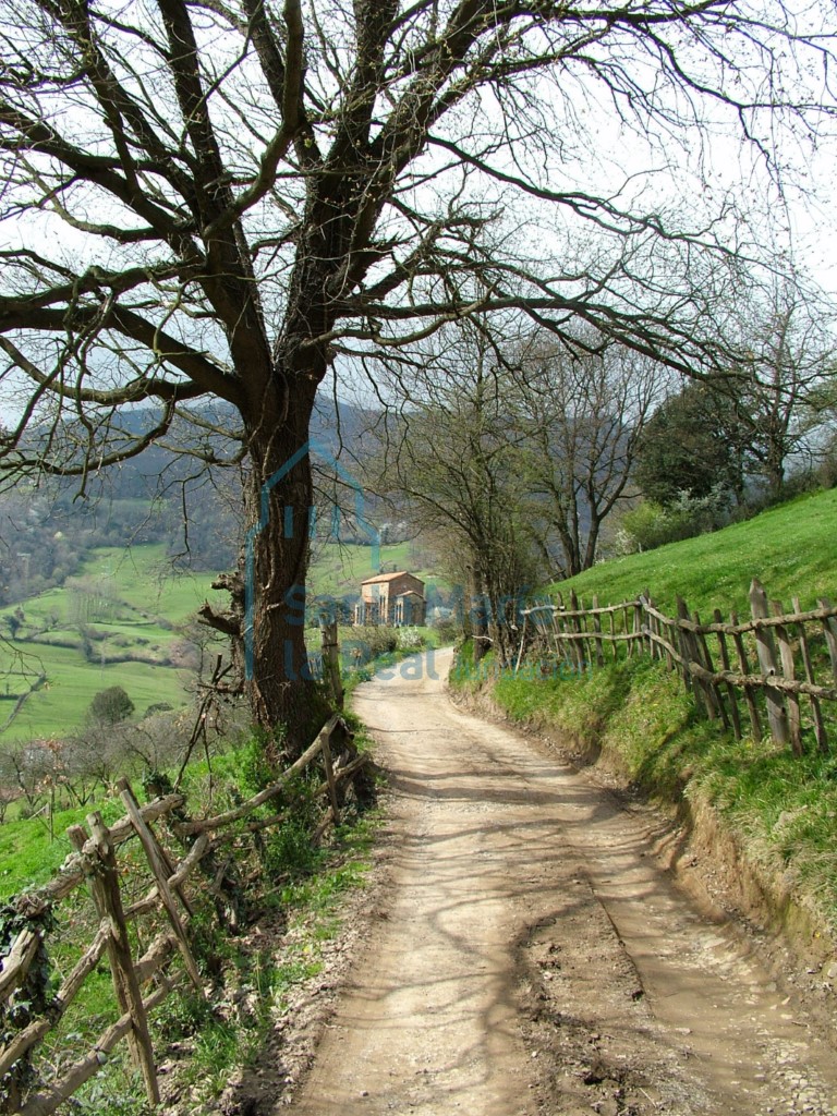 Camino de entrada a la ermita