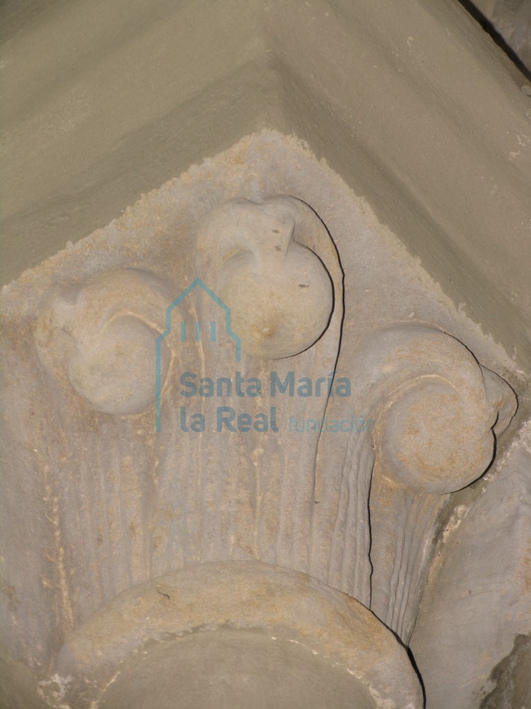 Detalle vegetal del capitel del lado izquierdo del arco triunfal