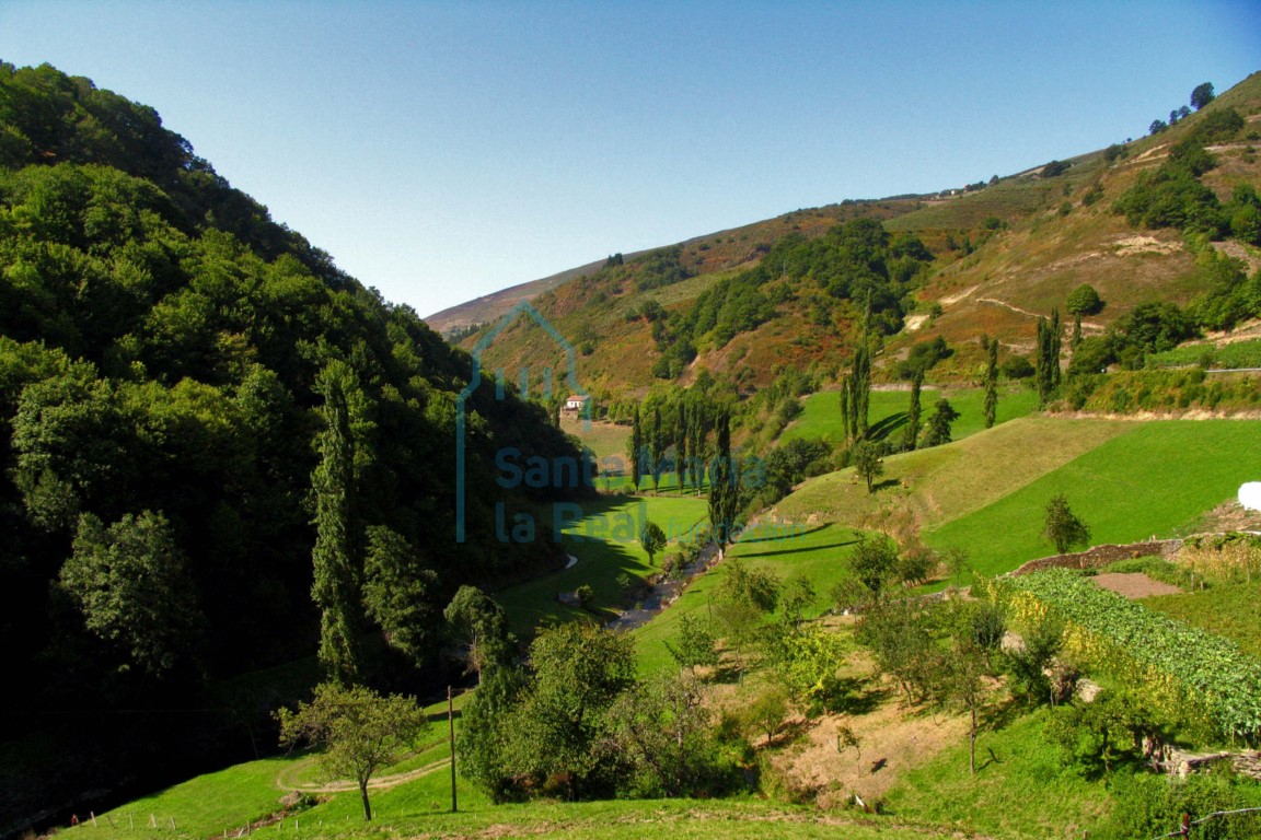 Paisaje rural en las cercanías de Carballo (Cangas del Narcea)