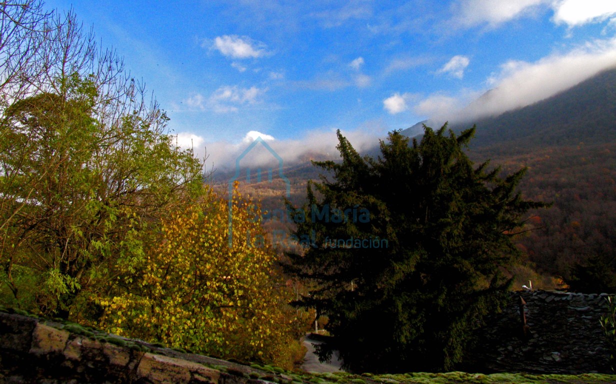Vista del entorno
