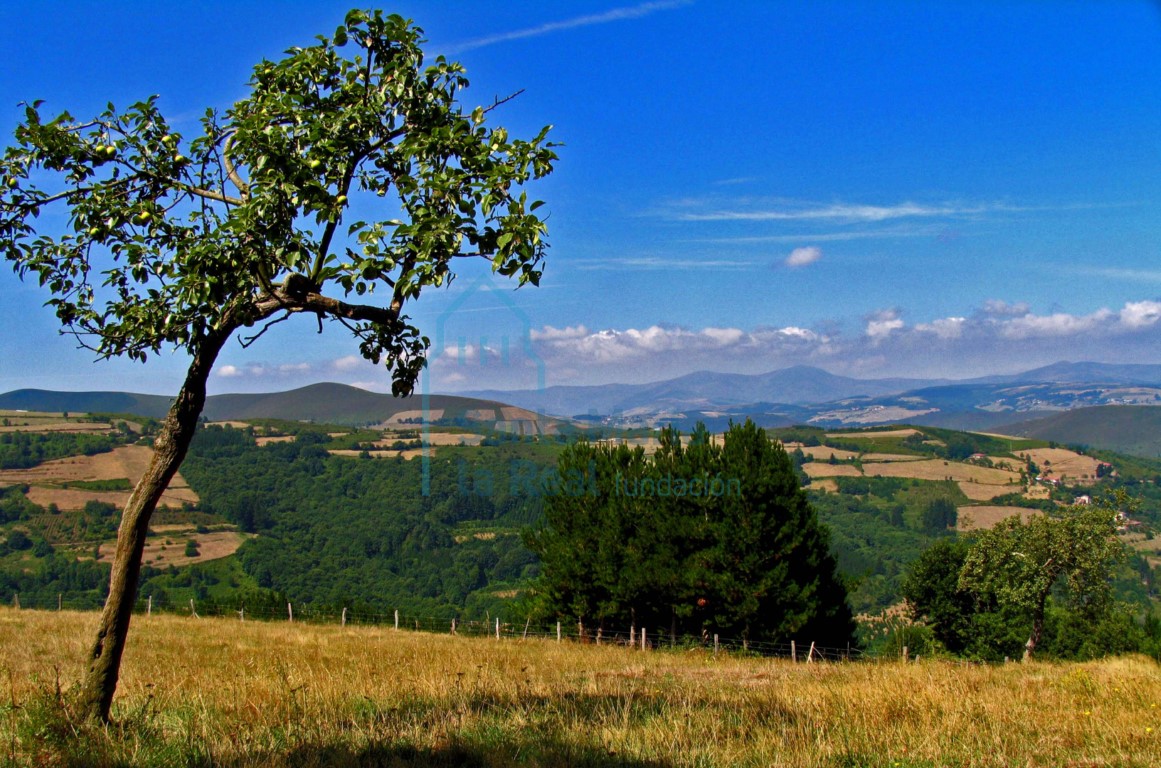 Paisaje
