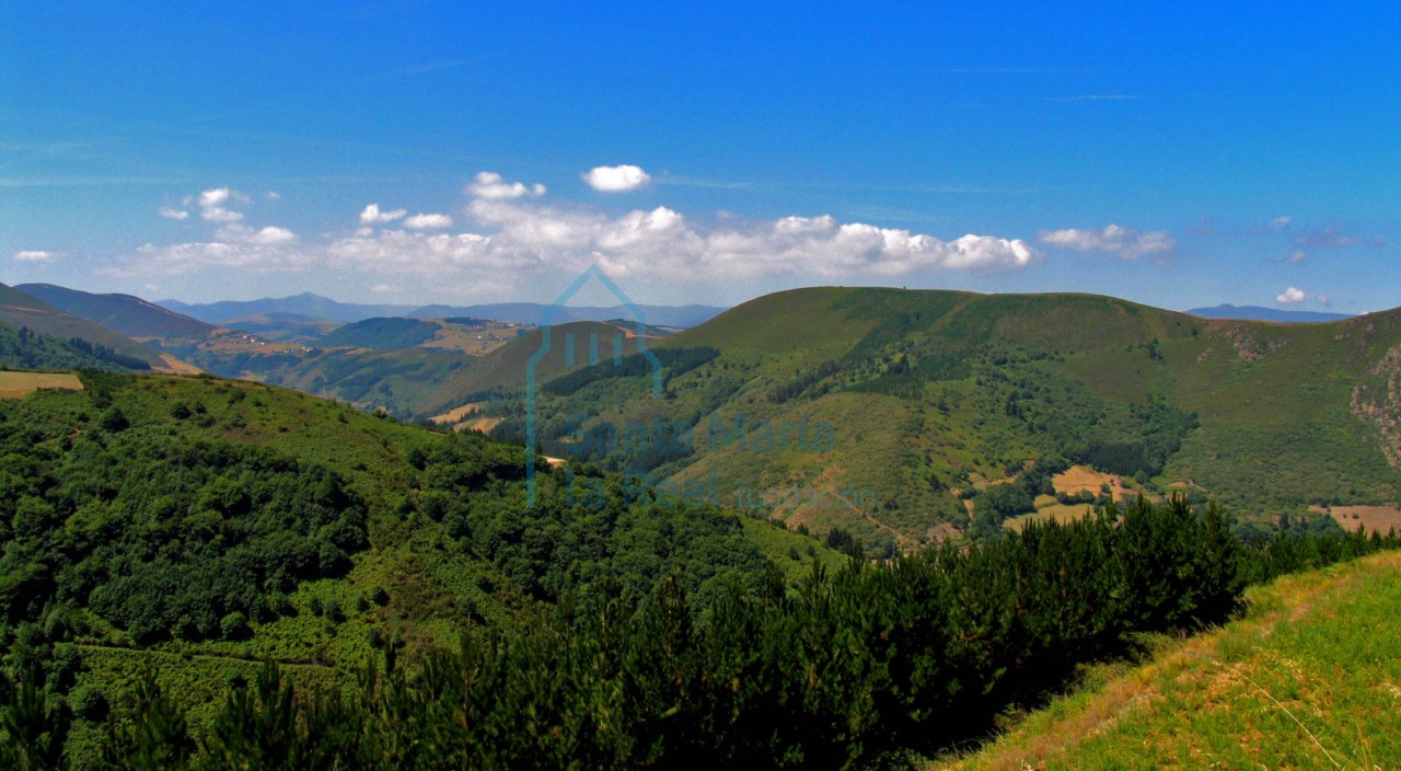 Paisaje