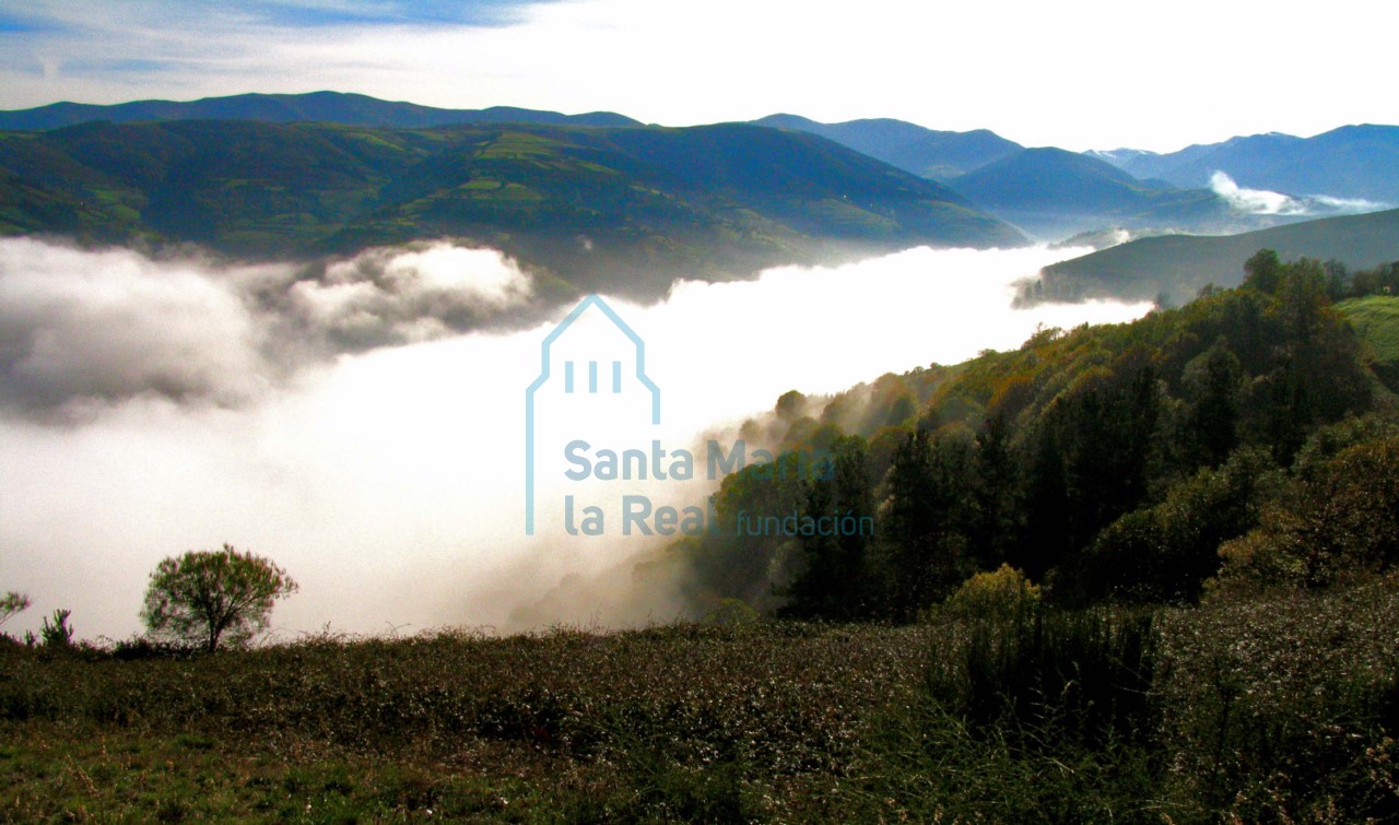 Panorámica del entorno