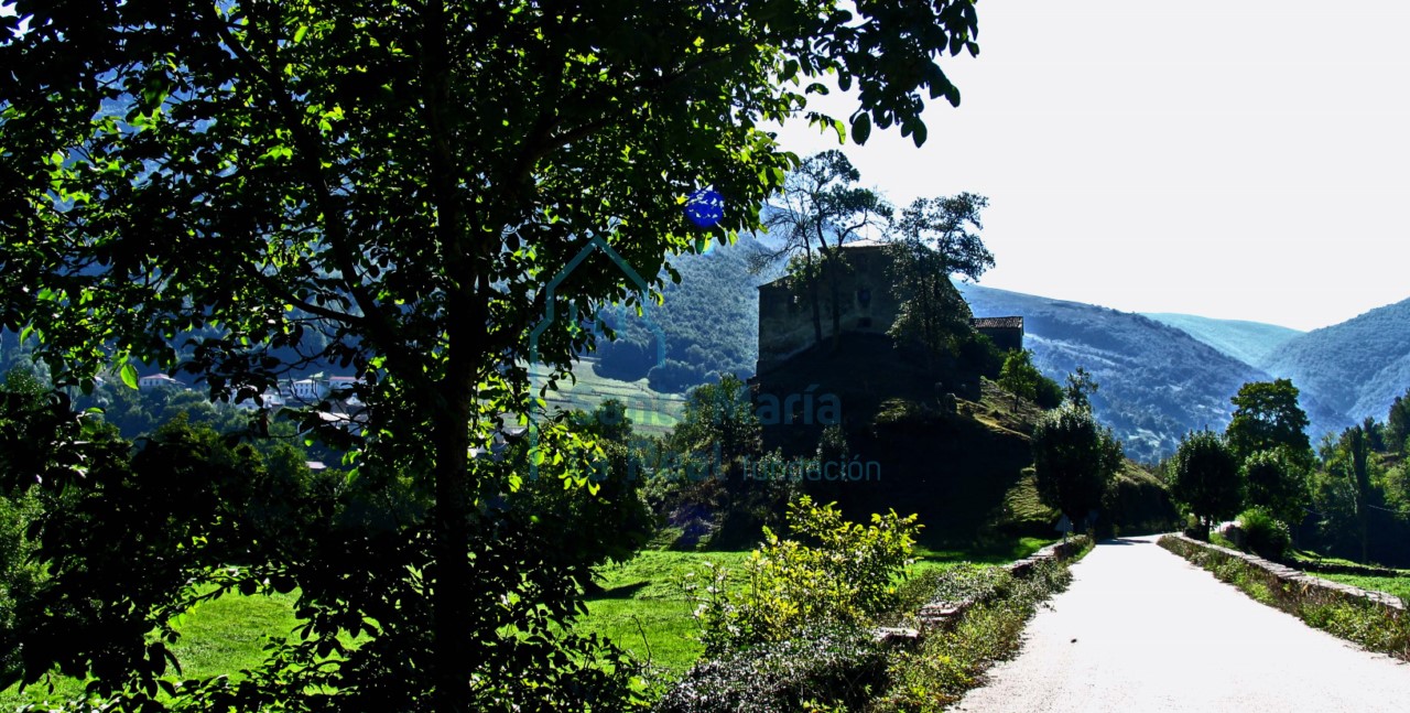 Vista panorámica