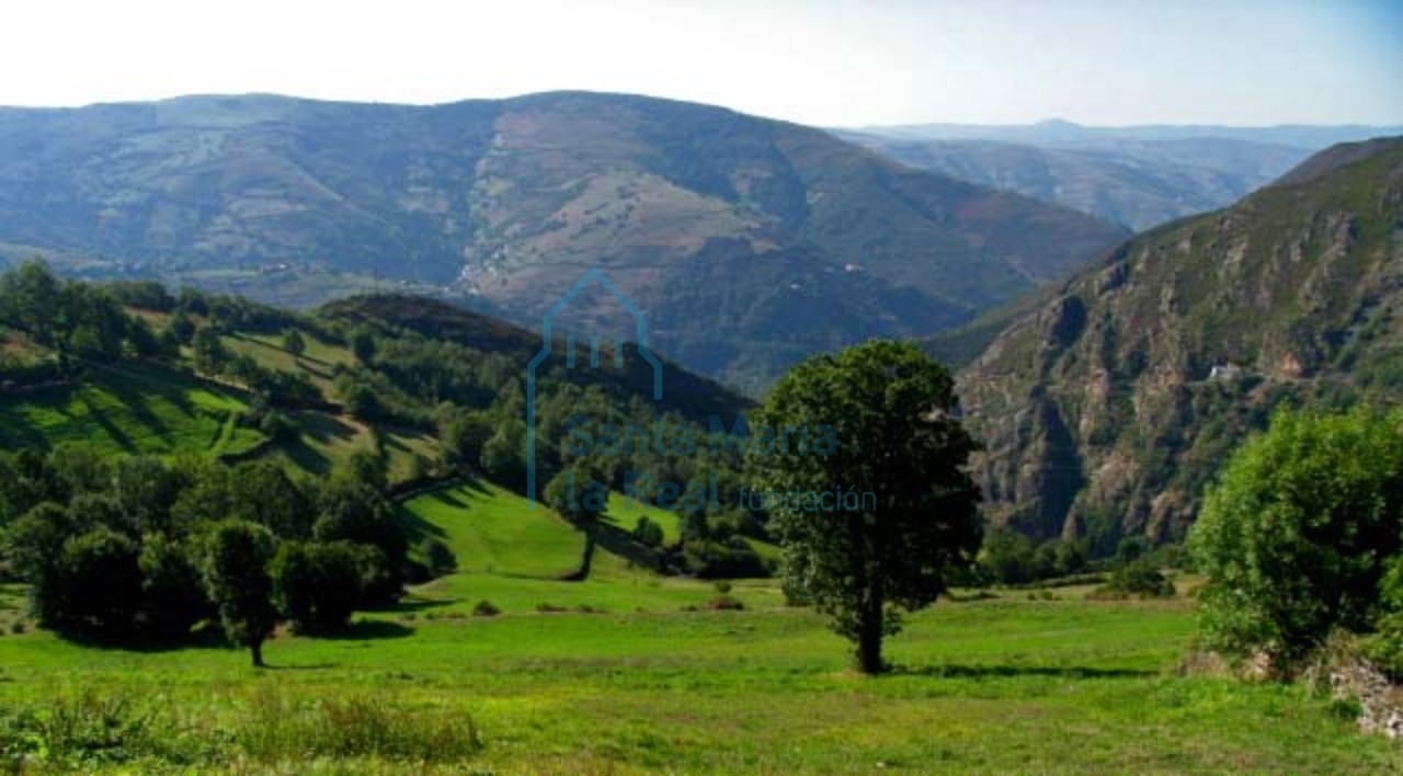 Paisaje