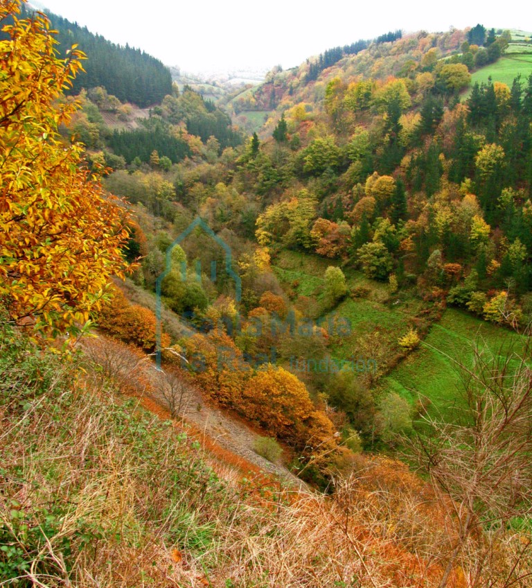 Paisaje